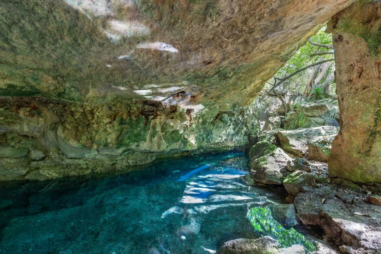 Attha Cenote Luxury Condo Tulum Aparthotel