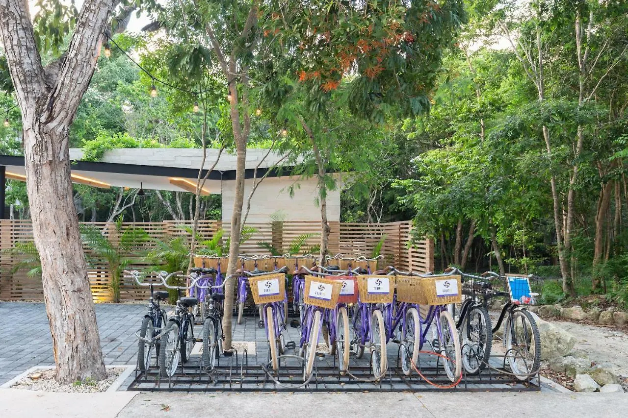 *** Aparthotel Attha Cenote Luxury Condo Tulum Mexico